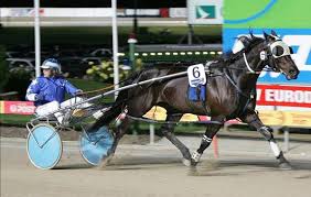 Harness Racing: Rules, Equipment, Fields, Trading Ring
